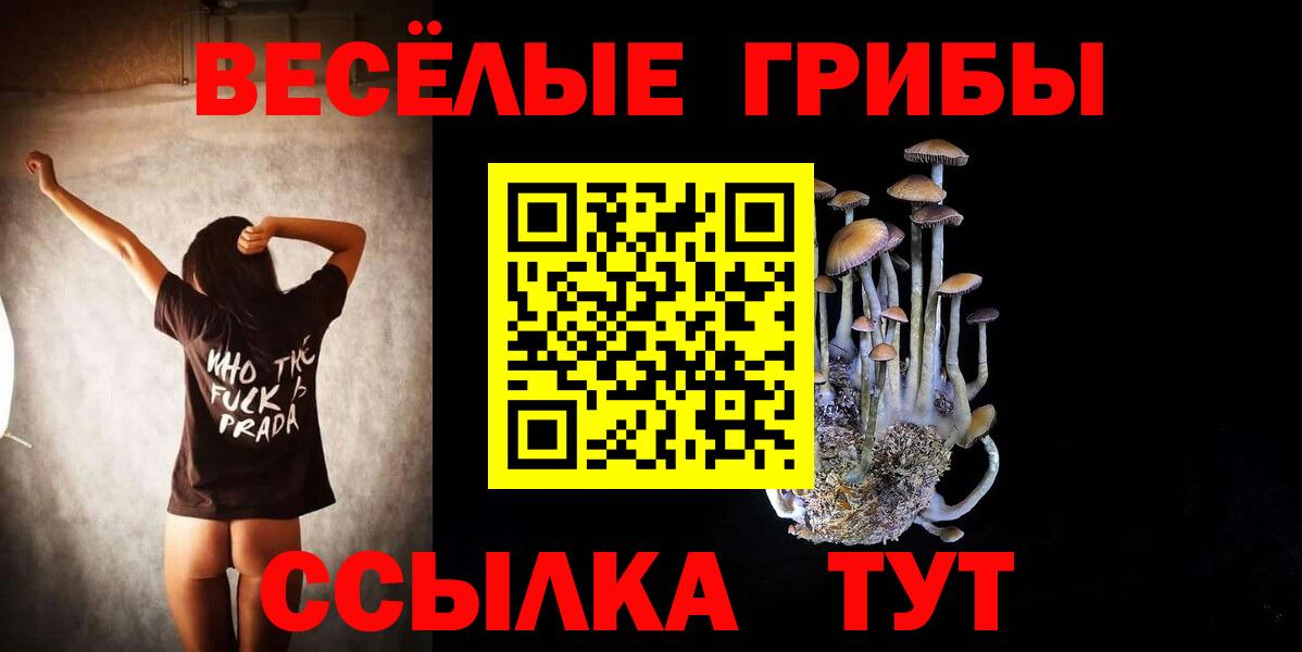 Галлюциногенные грибы Psilocybe  магазин продажи наркотиков  Вход с VPN  Кудрово  Псилоцибиновые грибы Psilocybe 